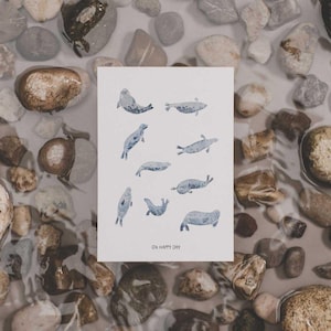 Robben | Oh Happy Day | Aquarell Postkarte A6