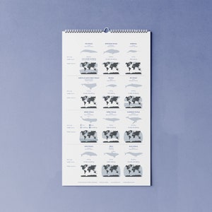 2024 calendar with whales A3 narrow for families or shared apartments made of beautiful recycled paper, 10 percent of the proceeds go to whale and dolphin protection image 9