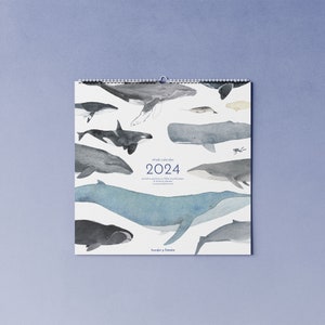 2024 whale calendar with watercolor illustrations printed on 100% recycled paper, 10 percent donation to whale and dolphin conservation image 8