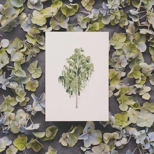 Carte postale aquarelle bouleau A6