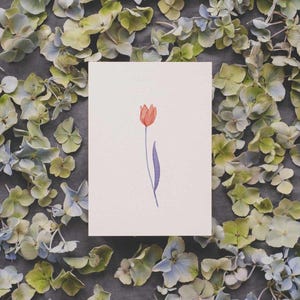 tulipe | carte postale en papier 100% recyclé