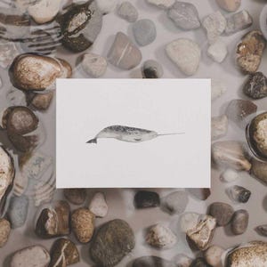 Carte postale aquarelle narval imprimée sur papier recyclé de haute qualité