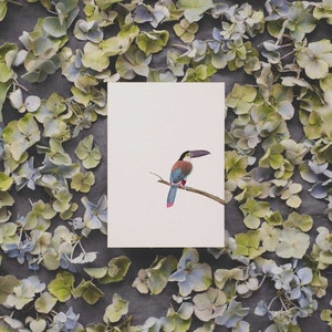 Toekan aquarel ansichtkaart gedrukt op gerecycled papier van hoge kwaliteit