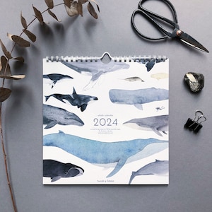 2024 whale calendar with watercolor illustrations printed on 100% recycled paper, 10 percent donation to whale and dolphin conservation image 1