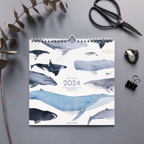 2024 Wal Kalender mit Aquarell Illustrationen gedruckt auf 100% Recyclingpapier, 10 Prozent Spende an Wal- und Delfinschutz