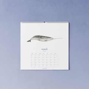 2024 whale calendar with watercolor illustrations printed on 100% recycled paper, 10 percent donation to whale and dolphin conservation image 2