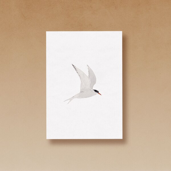 Arctic Tern postcard printed on high-quality recycled paper
