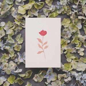 Roses |  Carte postale en papier 100% recyclé