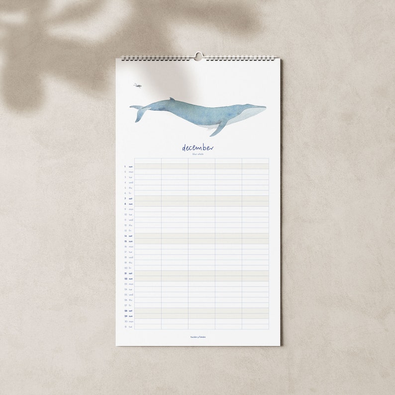 2024 calendar with whales A3 narrow for families or shared apartments made of beautiful recycled paper, 10 percent of the proceeds go to whale and dolphin protection image 10