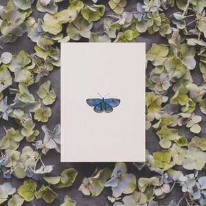 Schmetterling Aquarell Postkarte gedruckt auf hochwertigem Recyclingpapier