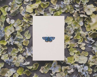 Butterfly watercolor postcard printed on high quality recycled paper