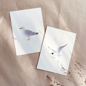 Jeu de cartes Seabirds 8 pièces imprimées sur du papier recyclé de haute qualité