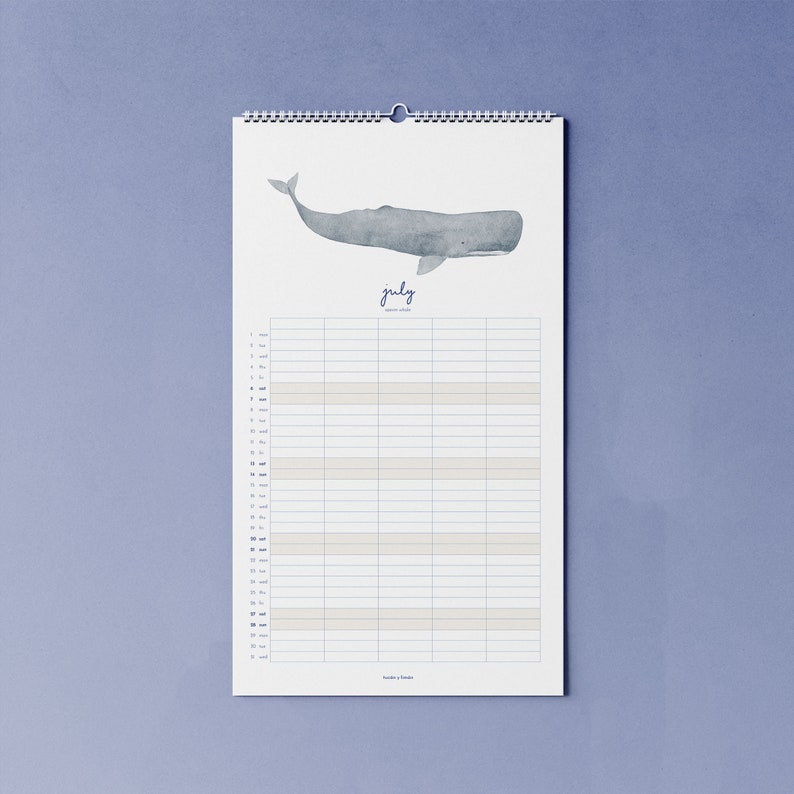 2024 calendar with whales B-WARE A3 narrow for families or shared apartments made of beautiful recycled paper, 10 percent of the proceeds go to the whale and image 4