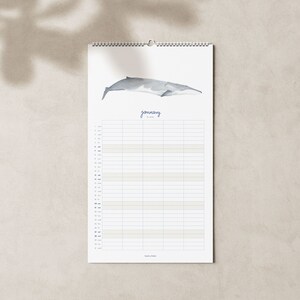 2024 calendar with whales A3 narrow for families or shared apartments made of beautiful recycled paper, 10 percent of the proceeds go to whale and dolphin protection image 2