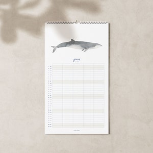 2024 calendar with whales A3 narrow for families or shared apartments made of beautiful recycled paper, 10 percent of the proceeds go to whale and dolphin protection image 5