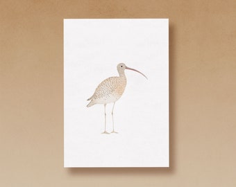 Curlew postcard printed on high quality recycled paper