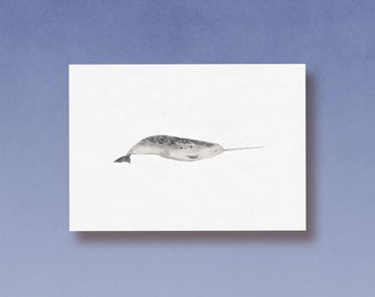 Narwhal watercolor postcard printed on high quality recycled paper