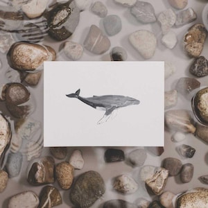Carte postale aquarelle baleine à bosse imprimée sur un beau papier 100 % recyclé