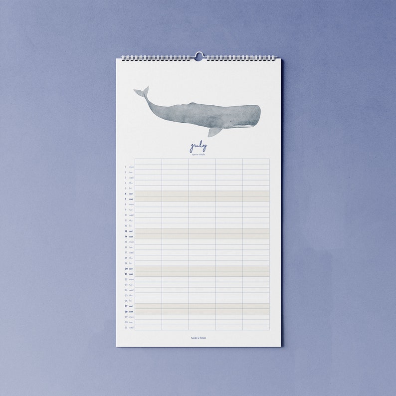 2024 calendar with whales A3 narrow for families or shared apartments made of beautiful recycled paper, 10 percent of the proceeds go to whale and dolphin protection image 6