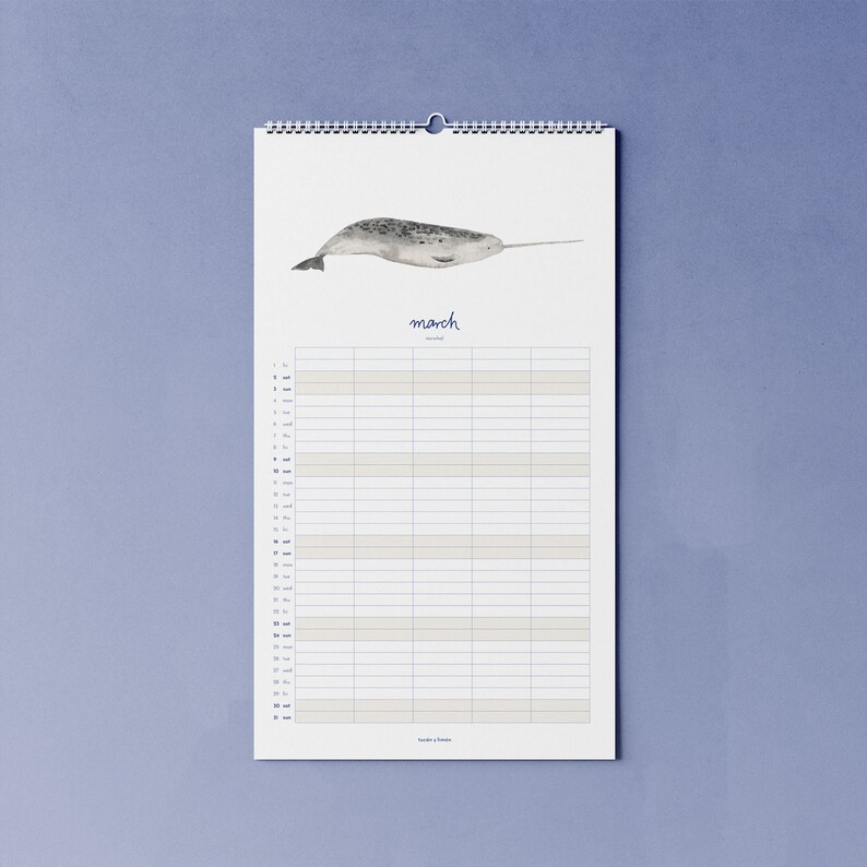 2024 calendar with whales A3 narrow for families or shared apartments made of beautiful recycled paper, 10 percent of the proceeds go to whale and dolphin protection image 3