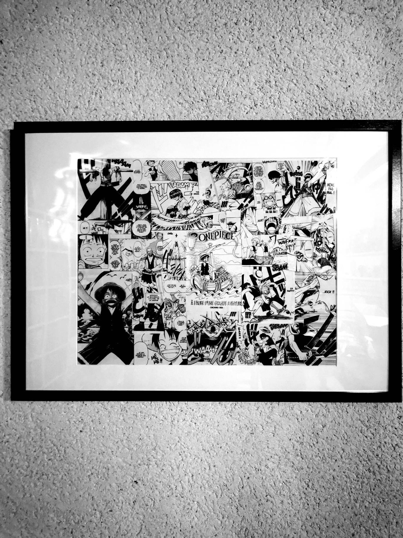 Cadre Manga One Piece