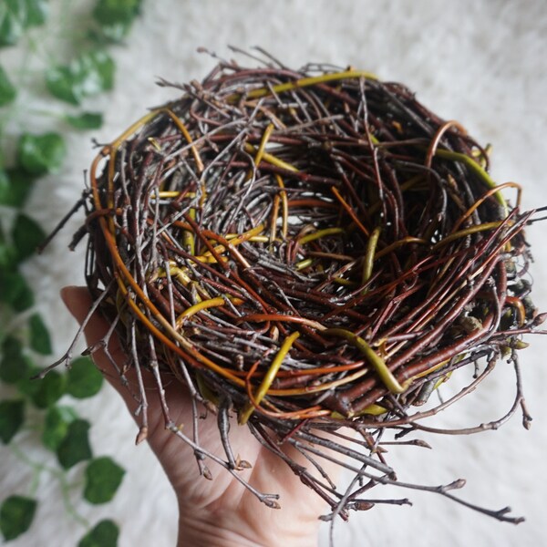 Handmade Bird Nest/Home Nature Craft best for Wedding Decor, Party Decor/Home Decor/willow Easter nest/twig bird nest/easter decor/spring