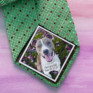 May include: A green and red patterned tie with a photo of a dog inside the fold. The photo shows a white and grey dog with a black nose and tongue sticking out. The photo has a brown border and a white tag with the text "I love you dad. Finn 09.25.26".