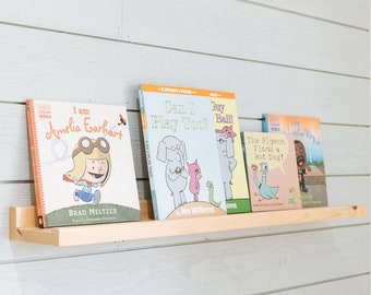 Modern picture ledge shelf