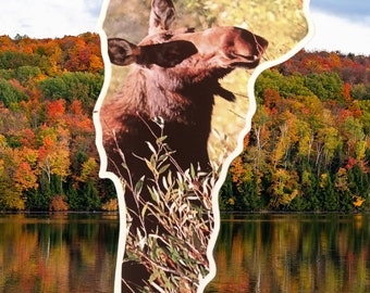 Vermont Moose Premium Vinyl Sticker 5" tall by 3" wide