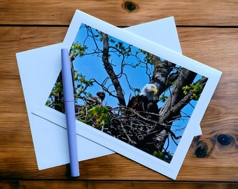 Bald Eagle keepsake Photo Greeting Card, blank inside, with envelope from Vermont.