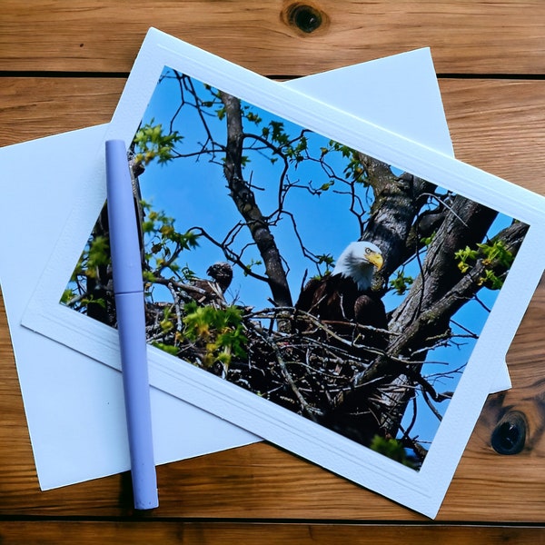 Bald Eagle keepsake Photo Greeting Card, blank inside, with envelope from Vermont.