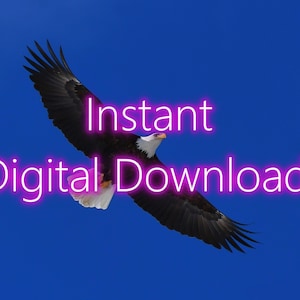 Digital Bald Eagle 11x14 Print Instant Download, Bald Eagle Photograph, Bald Eagle decor, Bald Eagle Printable Wall Art from Vermont.
