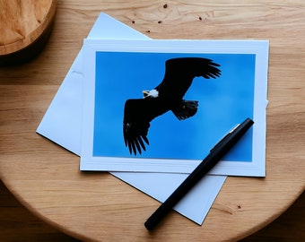 Bald Eagle Original Photograph Greeting Card, blank inside, with matching envelope. Suitable for framing.