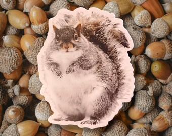 Vermont chunky squirrel Vinyl Waterproof Laptop, Journal, Car, Water Bottle Sticker 2.5 inches wide by 3 inches tall