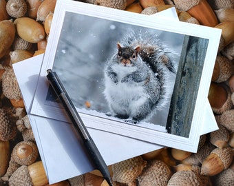 Squirrel Photo Greeting Card, blank inside with envelope