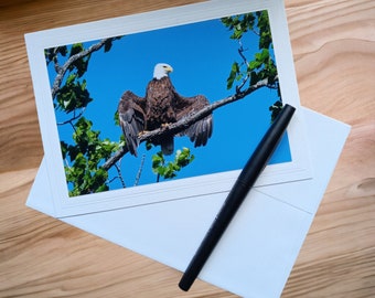 Bald Eagle Photo Greeting Card, blank inside, with matching envelope