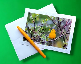 Yellow warbler in Vermont 5x7 original photo embossed Greeting Card, blank inside, with matching envelope.