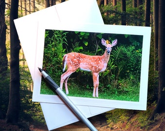 White Tailed Deer Photo Greeting Card 5x7, blank inside, with matching envelope