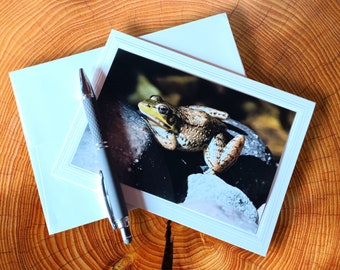 Green Frog 5x7 Blank Greeting Card/note card with 4x6 original photo, suitable for framing, with matching envelope