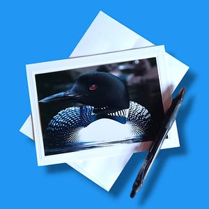 May include: A rectangular greeting card featuring a high-resolution photograph of a common loon with a black head, red eye, and white-spotted black plumage, resting on dark water, accompanied by a black retractable ballpoint pen on a white envelope.