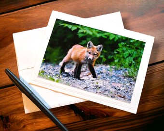 Red Fox Photo Greeting Card 5x7, blank inside, with matching envelope