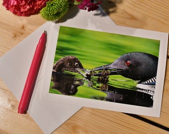 Vermont Loons Photograph Blank Note Card/Gift 5 x 7 with envelope