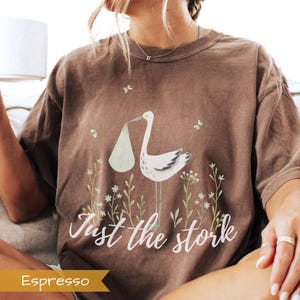 May include: A brown t-shirt with a white stork carrying a baby in a green bag. The shirt has the text "Just the stork" in white lettering.