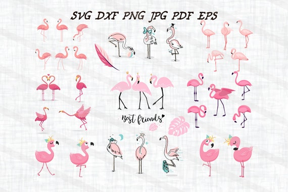Flamingo Svg Zoo Bundle Svg Flamingo Silhouettet 36 Flamingo Svg Bundle Beach Svg Dxf And Four More Files Cutting File