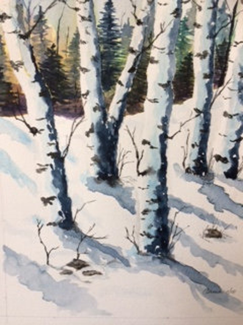 Birch Trees in SnowWinter TreesSnowy WoodsRustic DecorLog Cabin DecorCountry CottageGift for Him