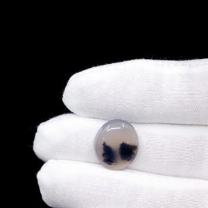 Montana Agate Oval Cabochon, Amazing Picture Pendant Stone, Dendritic, Necklace Options Available, 17mm x 15mm x 6mm, 11 Carats