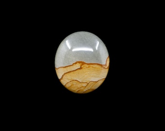 Cabujón de jaspe de Succor Creek: Piedra ovalada para colgar con paisaje (26 mm x 23 mm)