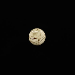 May include: A round, polished stone with a cream-colored base and intricate brown veining. The stone is set against a stark black background, highlighting its natural patterns and textures. The overall aesthetic is one of organic elegance.