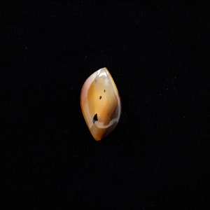 Montana Agate Freeform Cabochon, Picture Pendant Stone, Black & Orange Chalcedony, Necklace Options Available, 28mm x 16mm x 6mm, 20 Carats