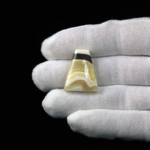 May include: A triangular shaped cabochon gemstone with white, brown, and black banding. The gemstone is polished and has a smooth surface.